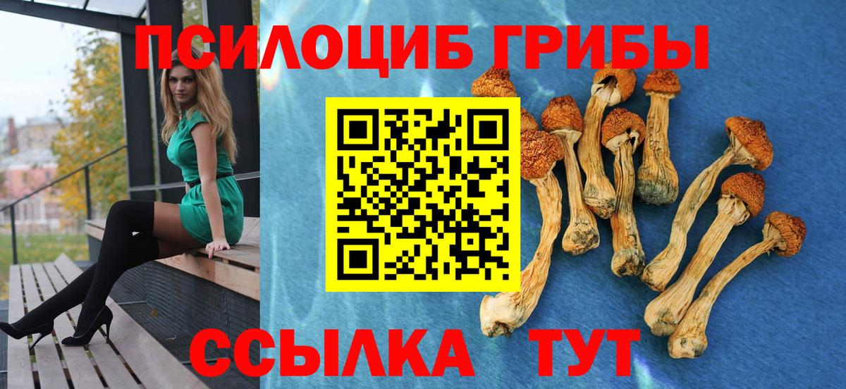 Псилоцибиновые грибы Psilocybe Карталы